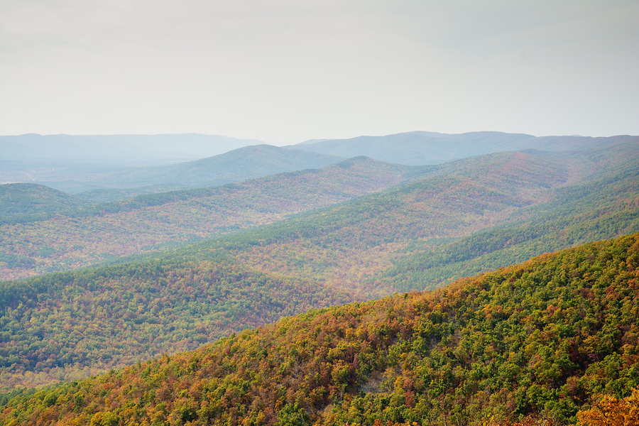 Things to do in and around Broken Bow 